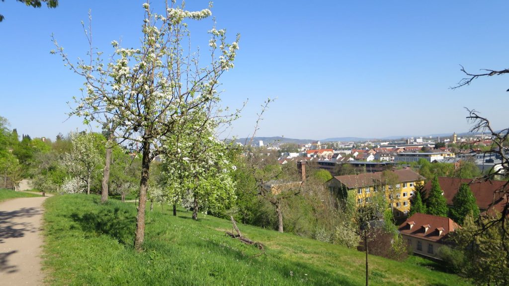 Bamberg - Welterbestätte - Blick vom Michaelsgarten