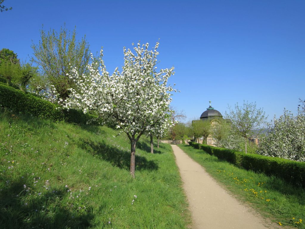 Bamberg - Welterbestätte - Michaelsberger Garten