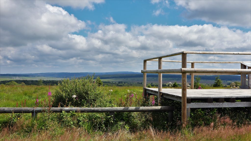 Aussichtsplattform bei Signal de Botrange