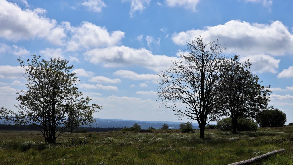 Weitblick Hohes Venn