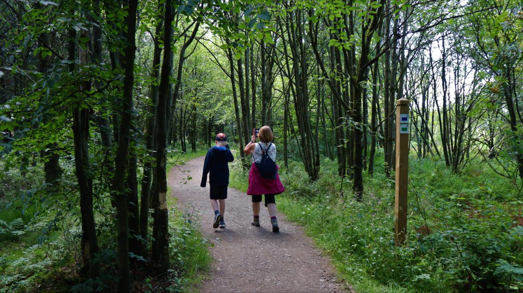 Wanderwege bei Chapelle Fischbach