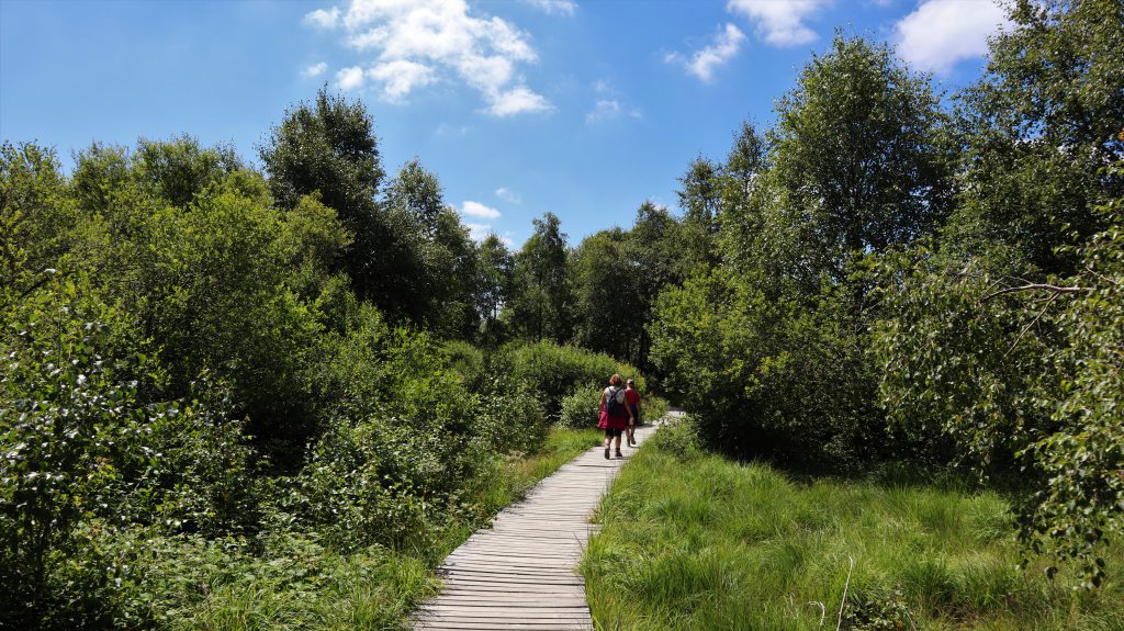 Holzstege im Poleur-Venn