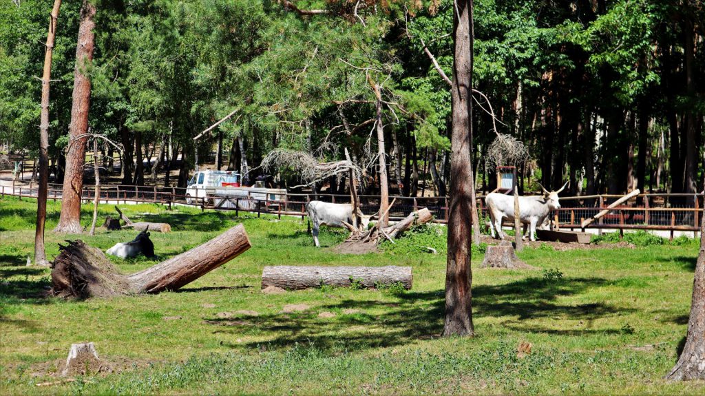 Hochwildpark Rheinland