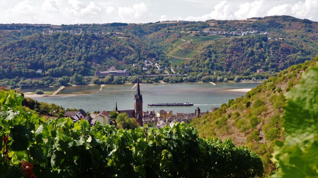 Rhein-Wisper Glück - Blick von der Clemenskapelle auf Lorchhausen