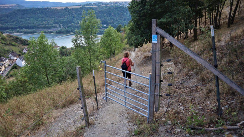 Abstieg zum Ausgangspunkt in Lorchhausen