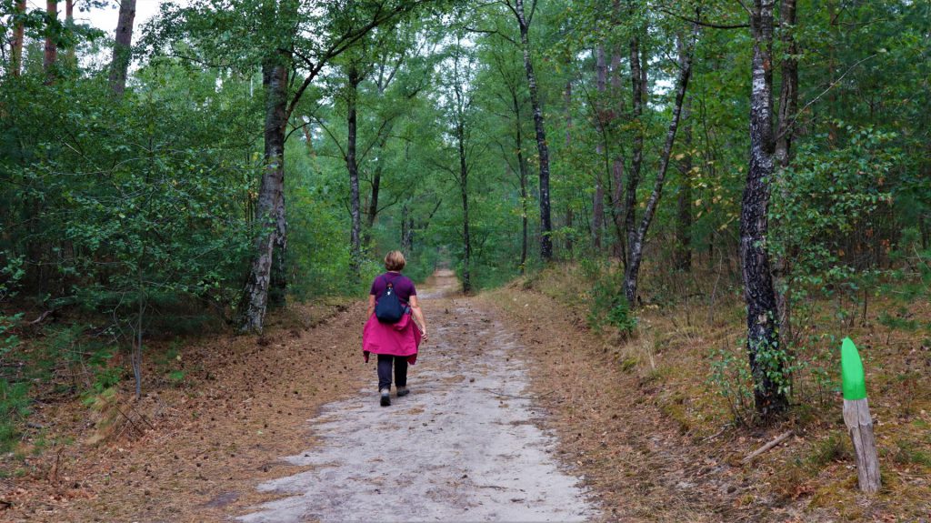 Waldweg Landgoet Arcen