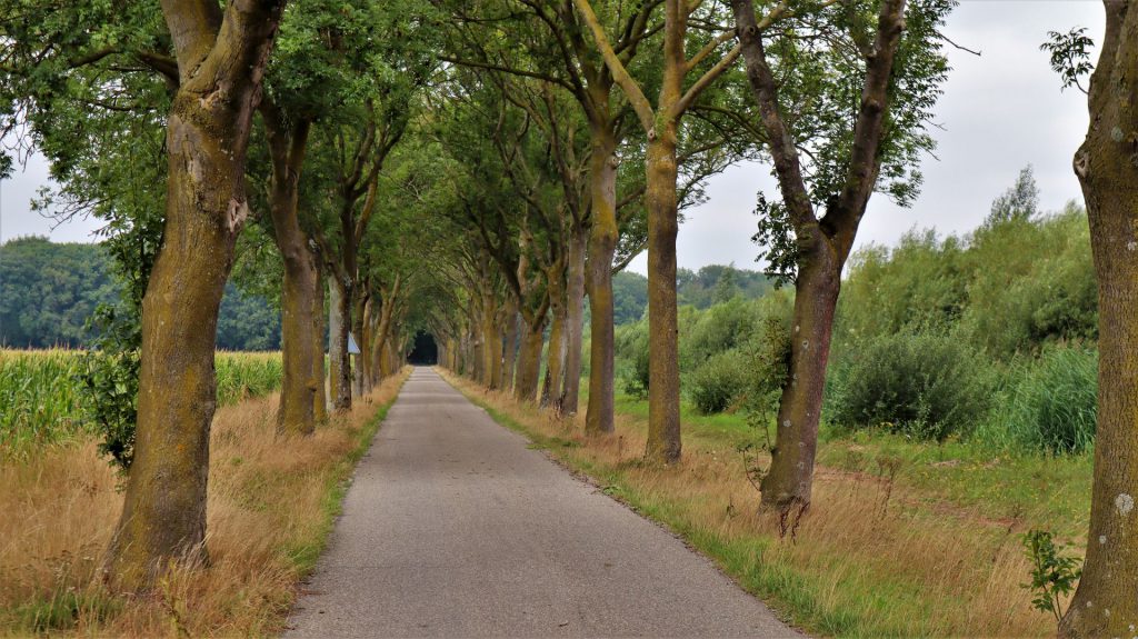 Allee am Straelens Schuitwater