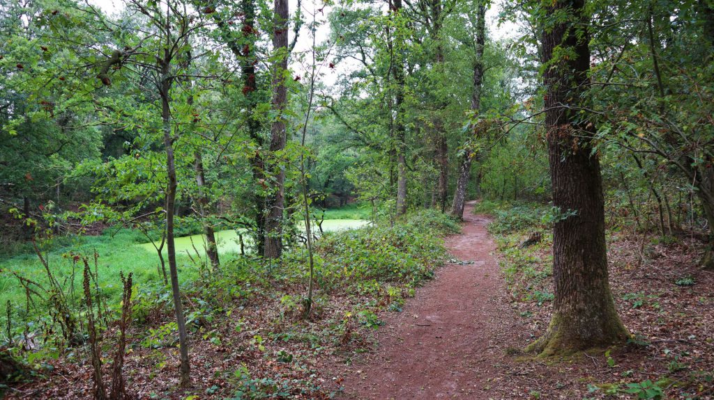 Waldweg und Graben am Fort Hatzenport