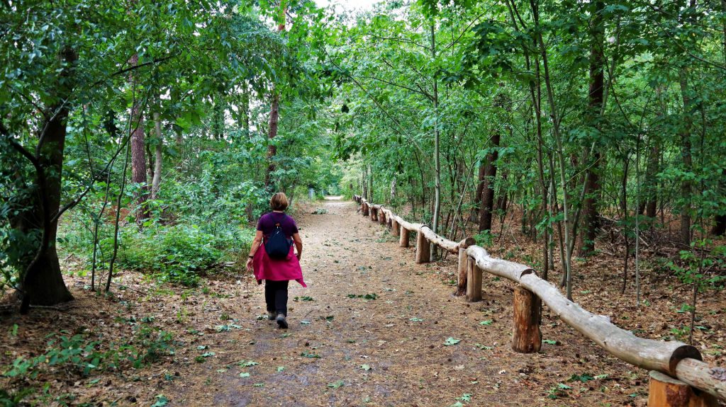 Waldweg Nähe Resort Arcen