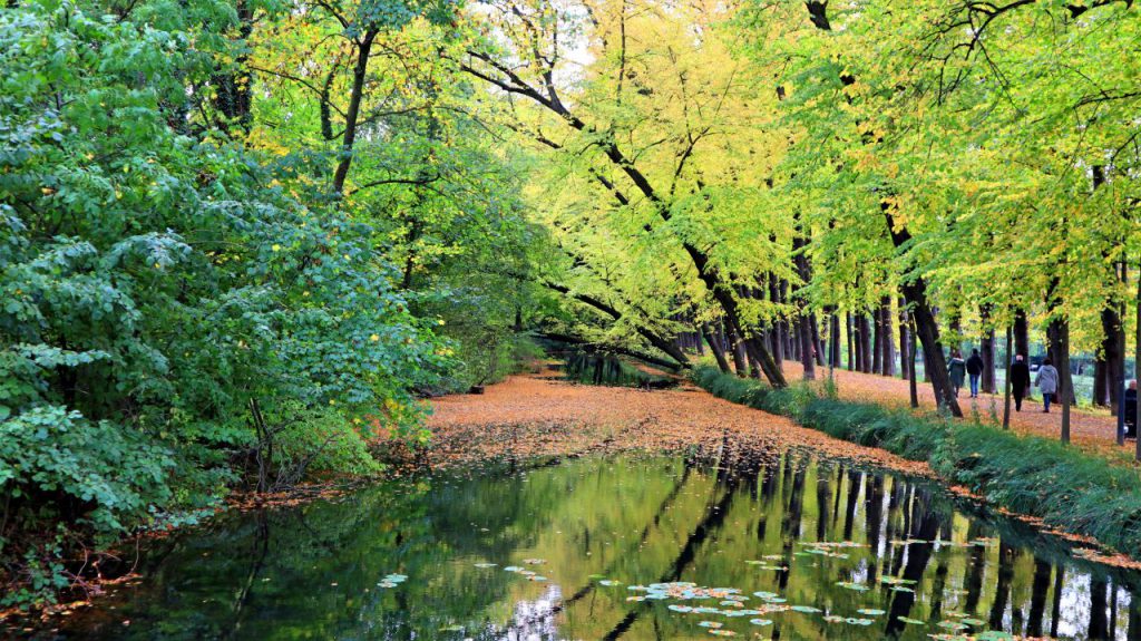 Allee Schlosspark Wickrath