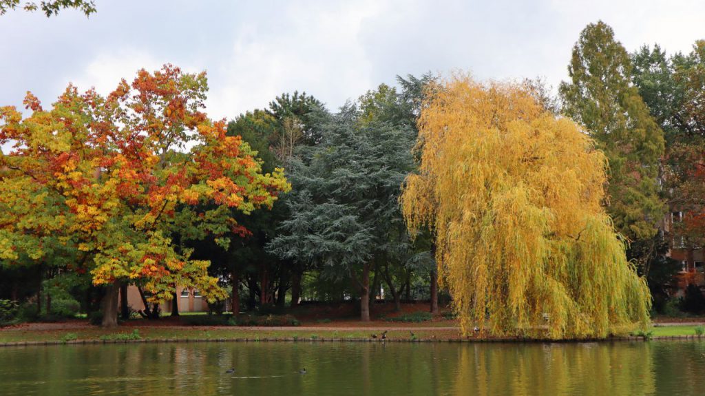 Kreuzweiher frueher Badhotelweiher Odenkirchen