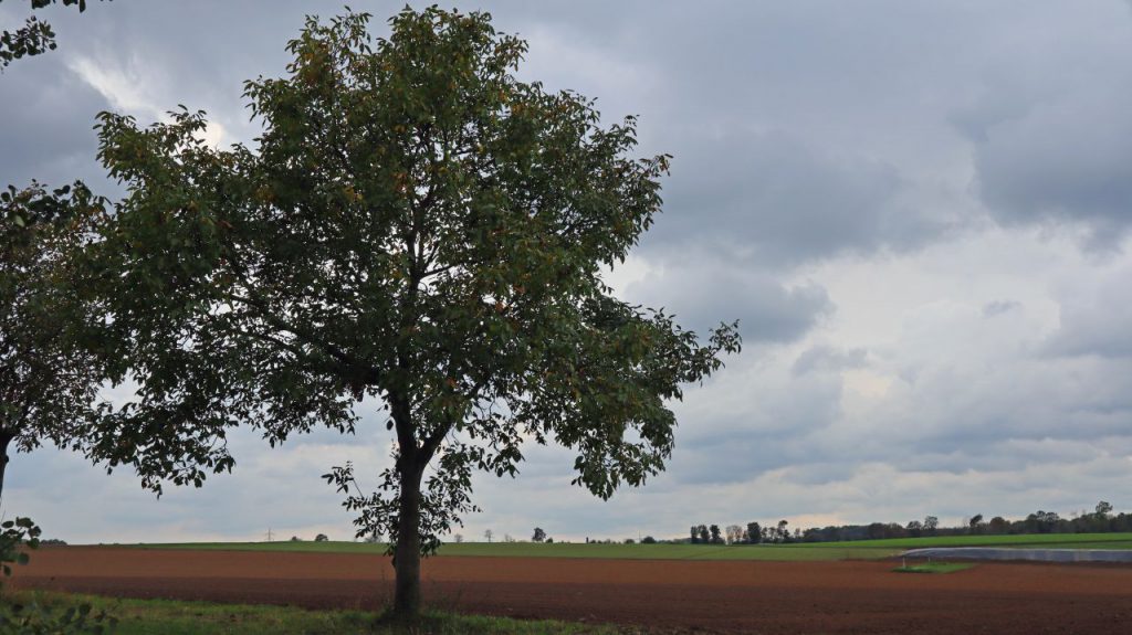 Hinter Schloss Wickrath