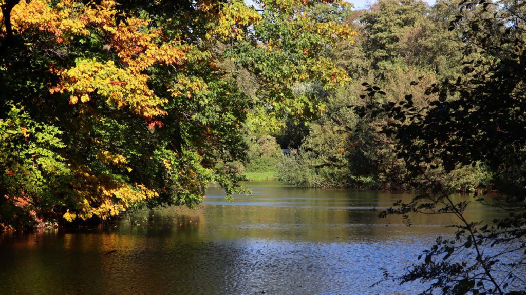 Motte Tüschenbroicherweiher