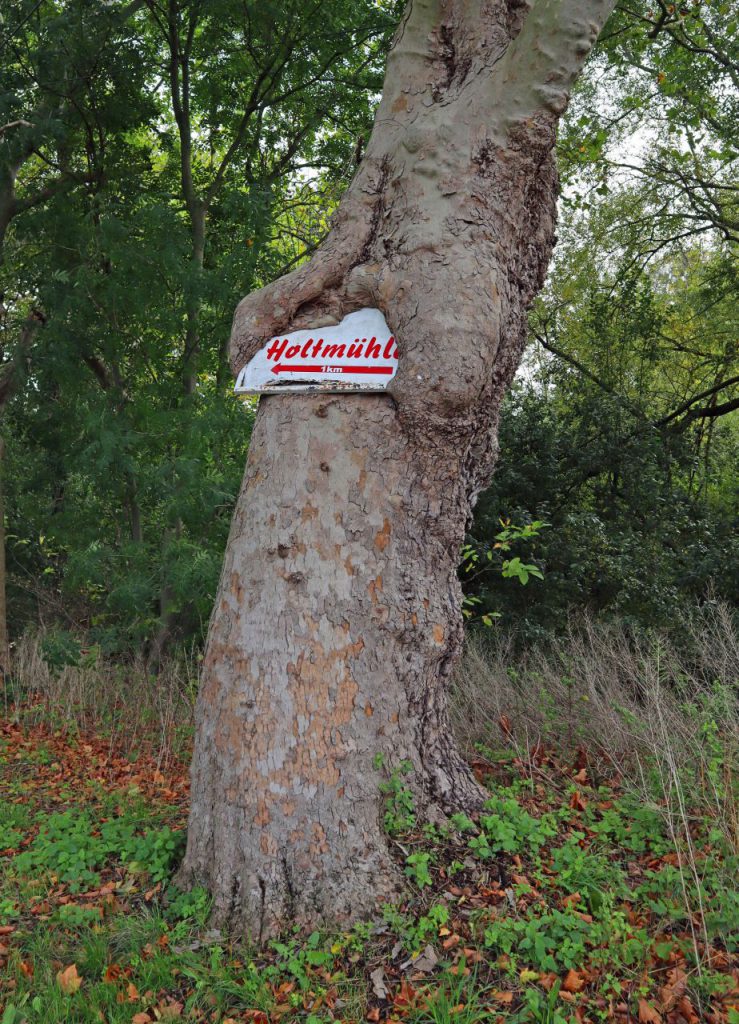 Holtmühlenschild bei Busch