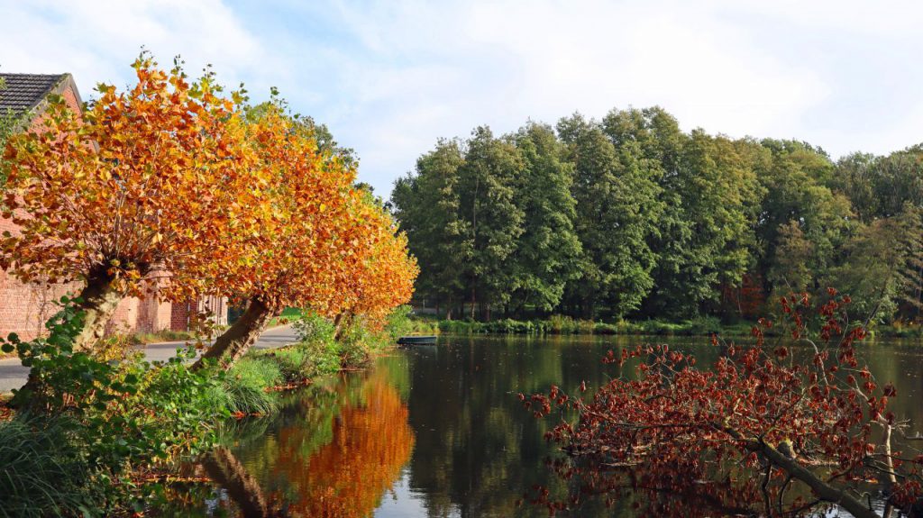 Buschmühlenweiher