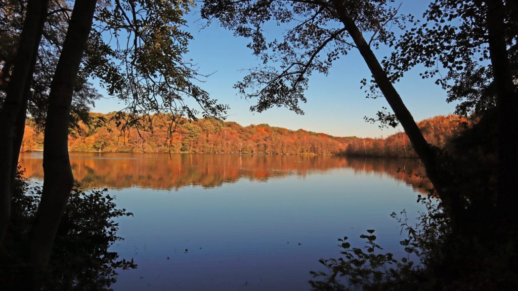 Holtmühlenweiher