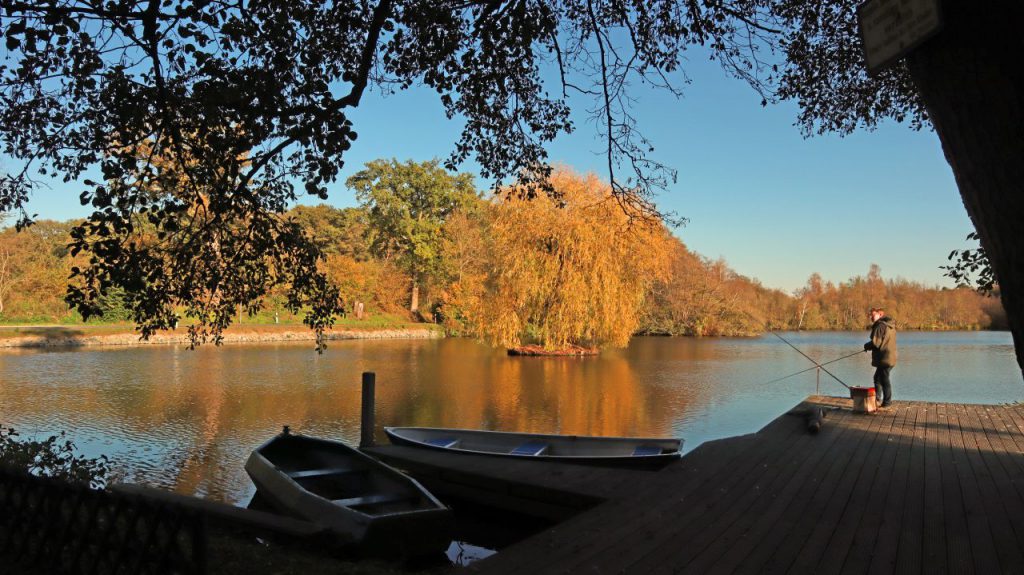 Insel Holtmühlenweiher