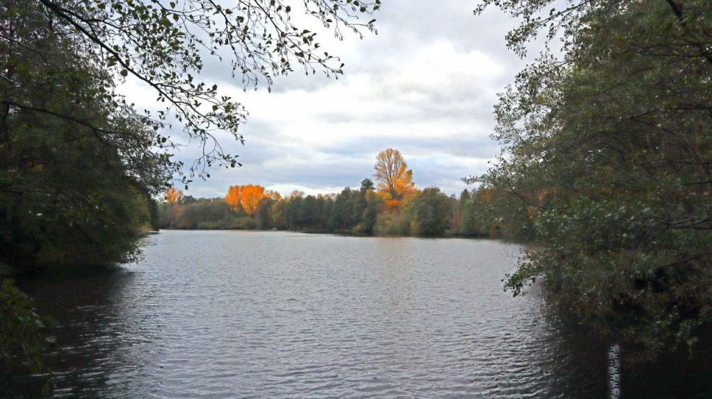 Unterer Breyeller See