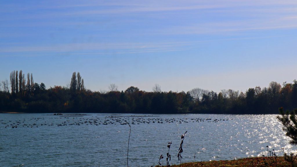 Ophovener Baggersee