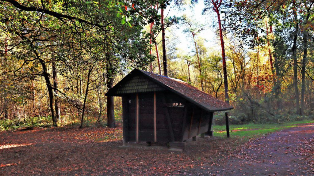Schutzhütte im Effelderwald