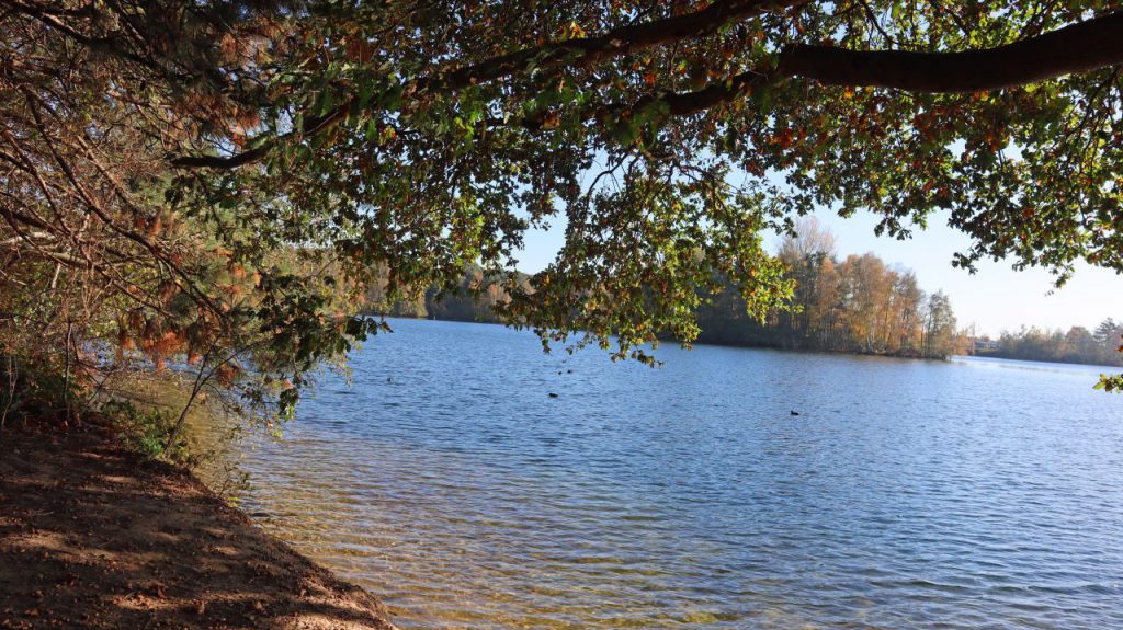 Effelder Waldsee