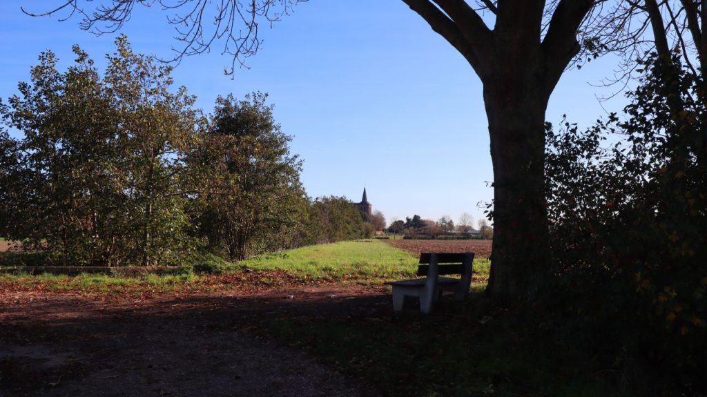 Feldweg bei Steinkirchen