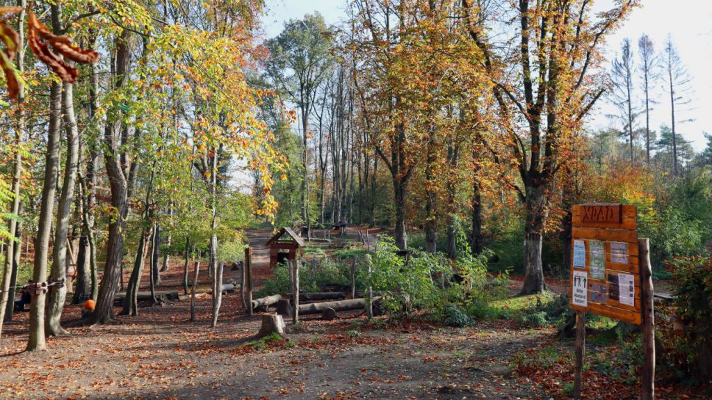 Ehemaliger Kletterwald