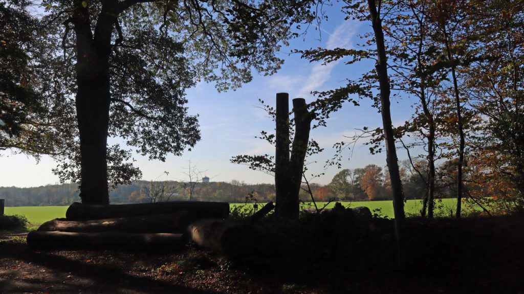 Am Waldrand Süchtelner Höhen