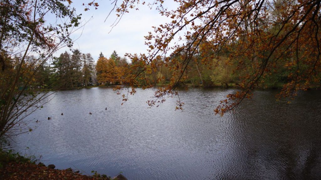 Zwei Seen Runde Born - Am Hariksee