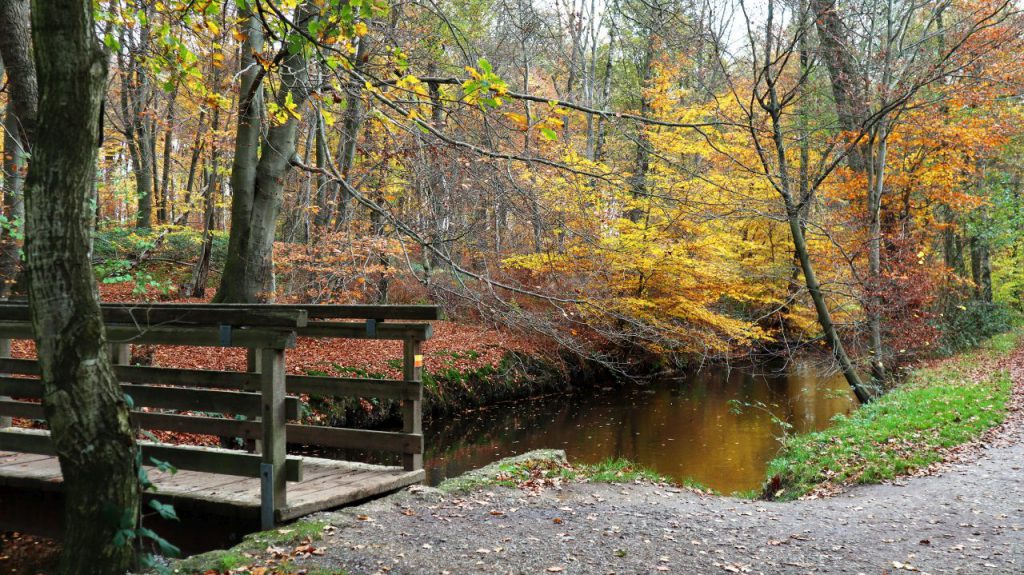 Schwalmbrücke am Wienertzpesch