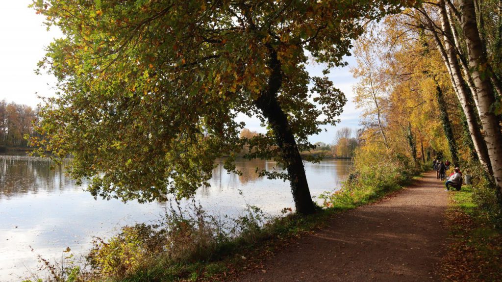 Uferweg am Borner See