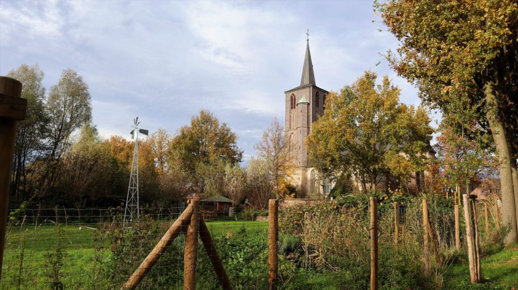 Naturgärten für Vogel- und Insektenwelt an der Borner Kirche