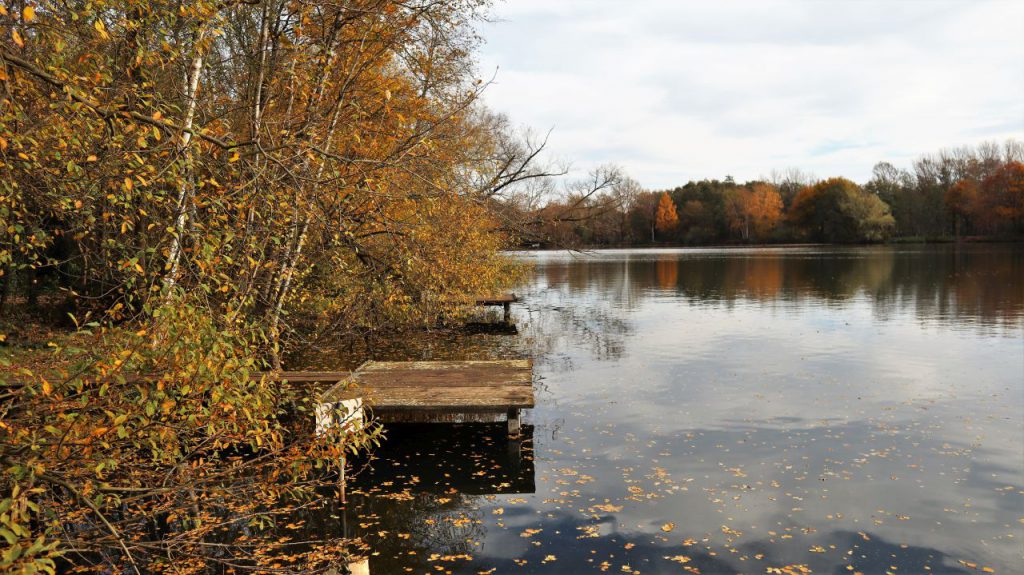 Stege am Borner See