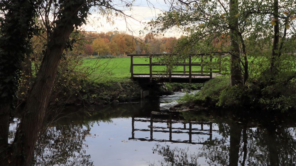 Steg an der Bornermühle