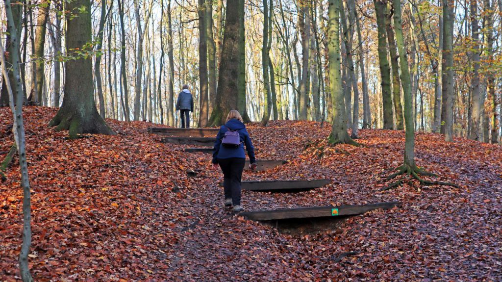 Stufen am Heinrich-Mertens-Weg