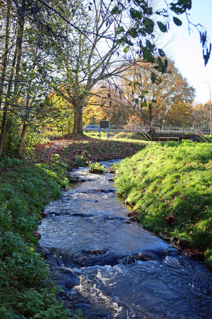 Fischtreppe an der Leuther Mühle