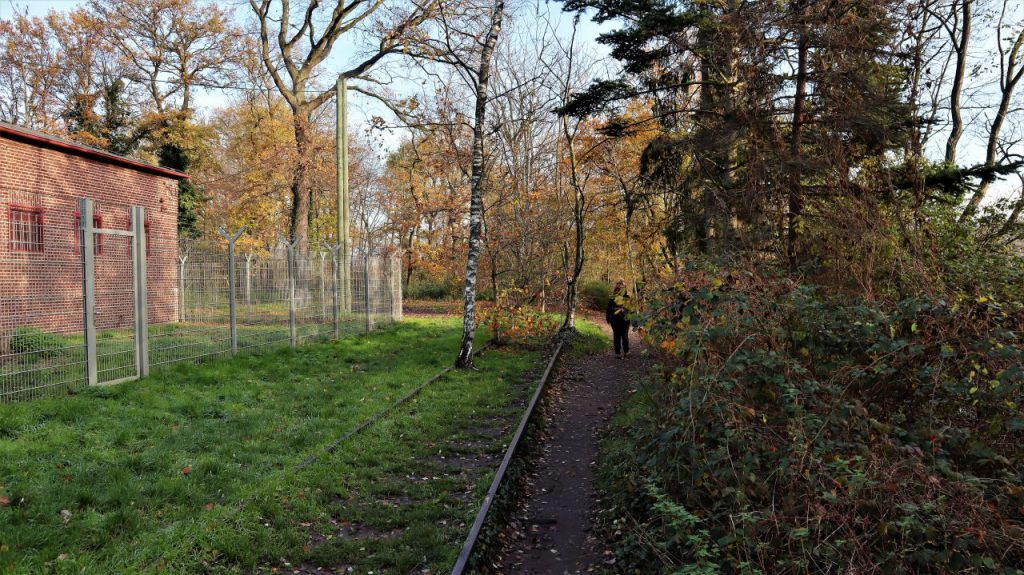 Alte Gleisanlage am Waldsee