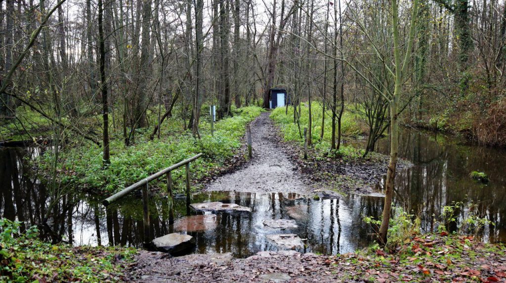 Trittsteine an der Molzmühle