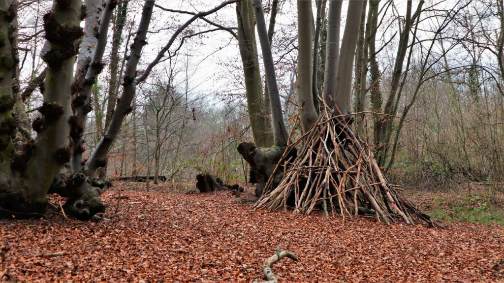 Wald im Molzental