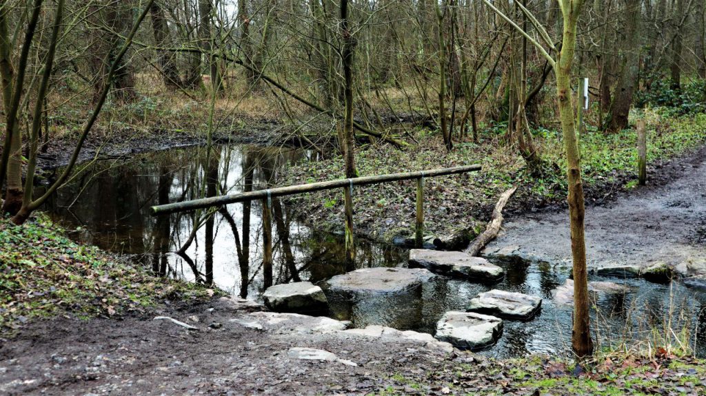 Trittsteine am Alsbach