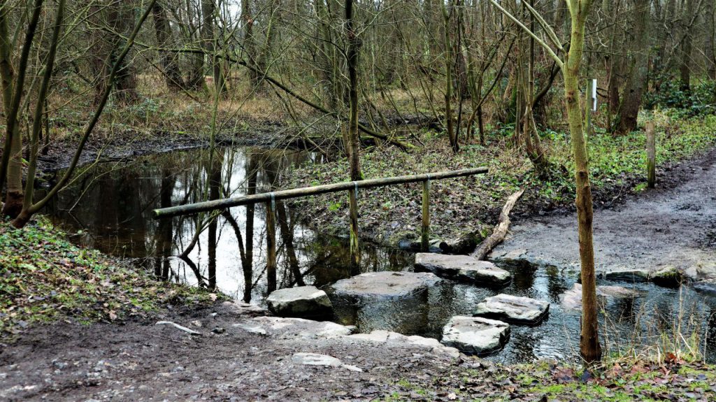 Trittsteine am Alsbach