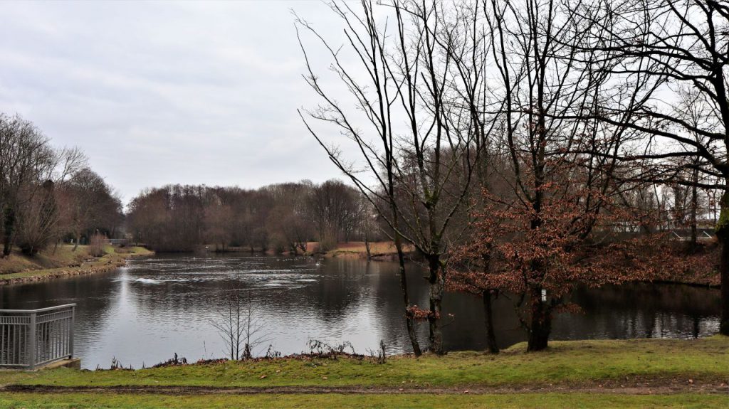 Ophovermühlenweiher