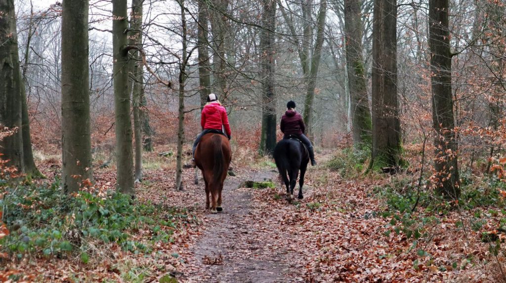 Im Beeckerwald