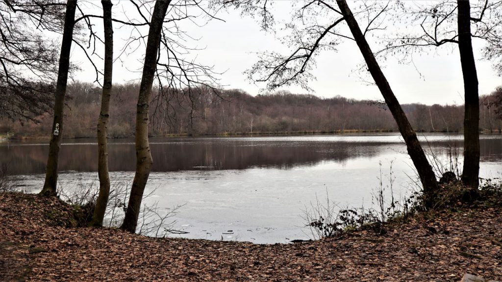 Holtmühlenweiher