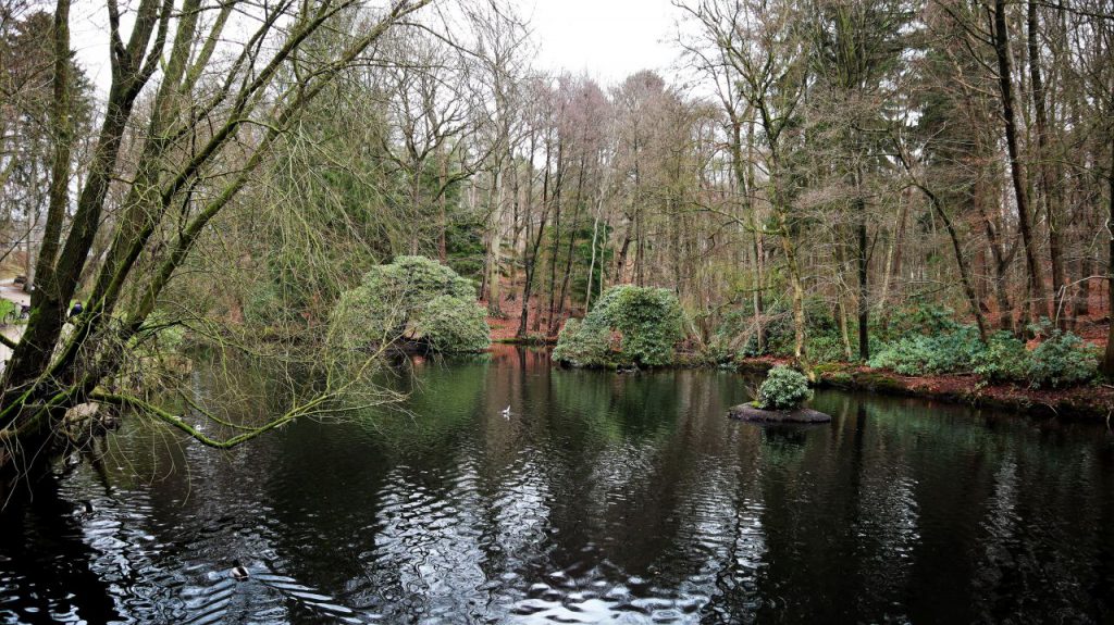 Teich im Judenbruch