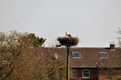 Storchennest Hubertushäuschen