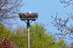 Storchennest Forellenstübchen