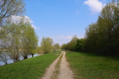 Uferweg Ellersee