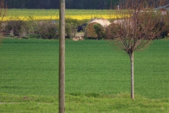 Storchennest Ronduit