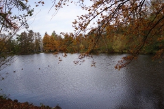 Am Hariksee